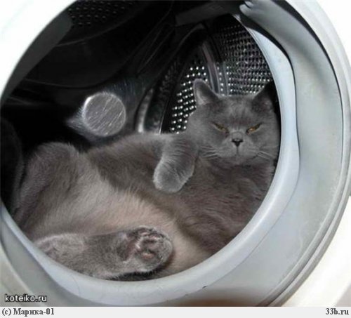 Котейкин вторник! Космический 12.04!