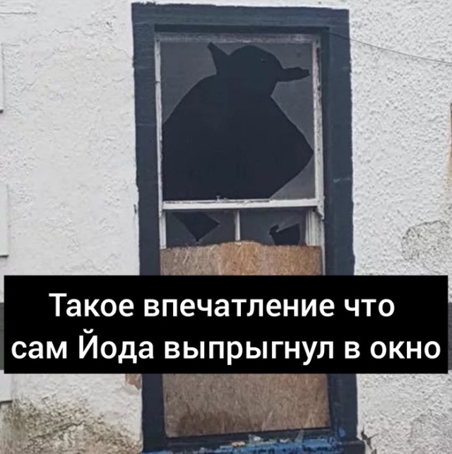 Нестандартный юмор