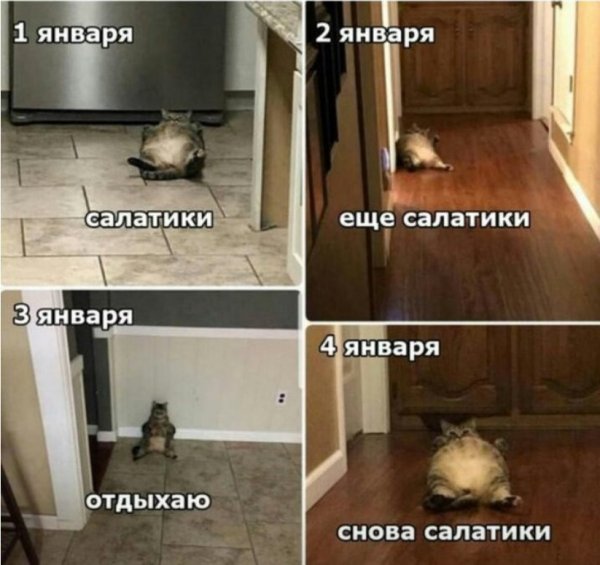 Роспотребнадзор посоветовал выкинуть салаты после новогоднего застолья