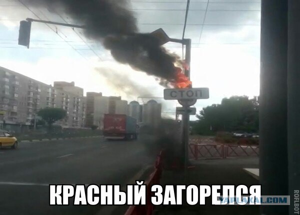 Разные по свежести картинки. Опять