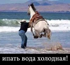 Немного картинок для настроения 05.12.19