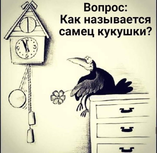 Юмор в картинках 21.09.20