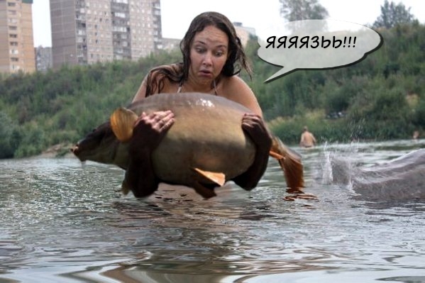 А давайте пожабим эту деваху