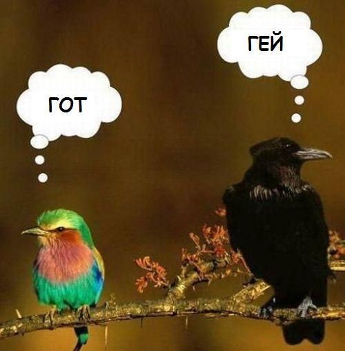 В Москве полицейский спрыгнул с женщиной на руках с четвёртого этажа, чтобы спасти её от пожара