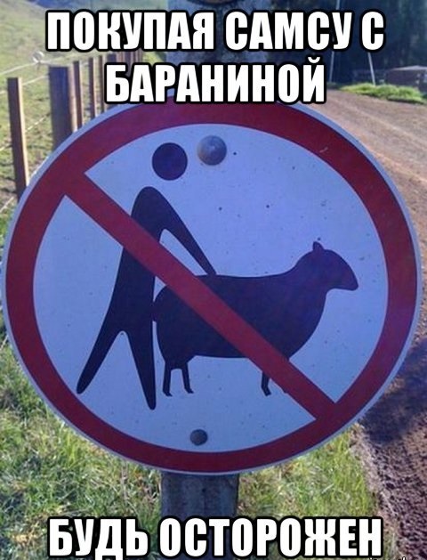 Весенний взгляд из темноты