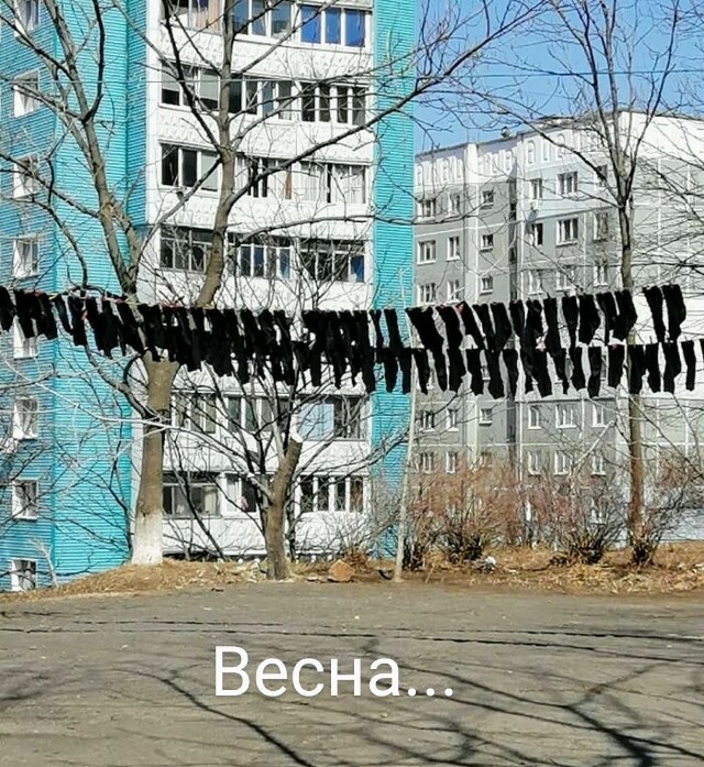 Картинки и мемы для настроения