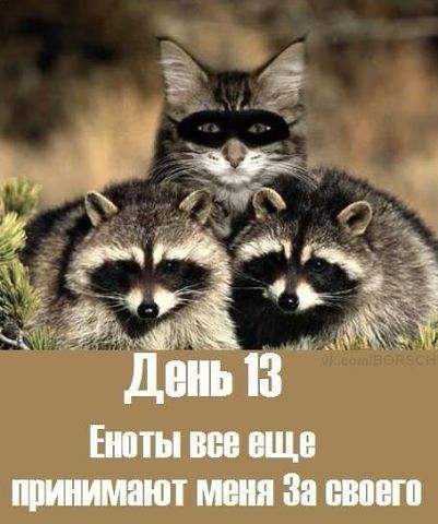 Прибор-релаксатор домашний, урчащий