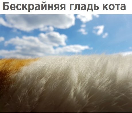 Всякое-разное (картинки) 02.07.2021
