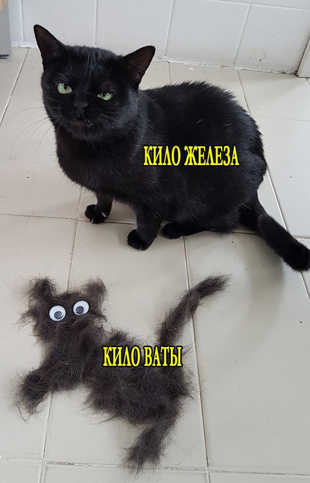 Всяческие картинки 15.11.2021