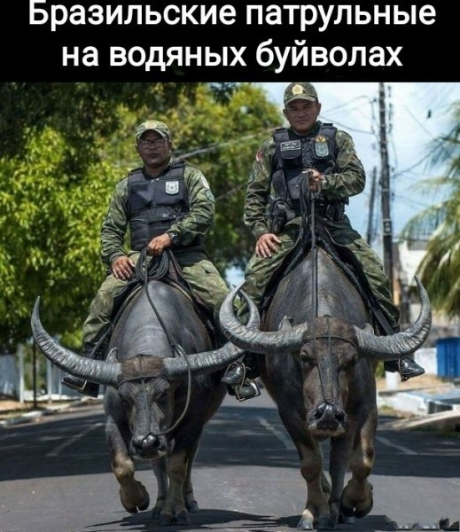 Мемасики для ЯПовцев - Часть 1