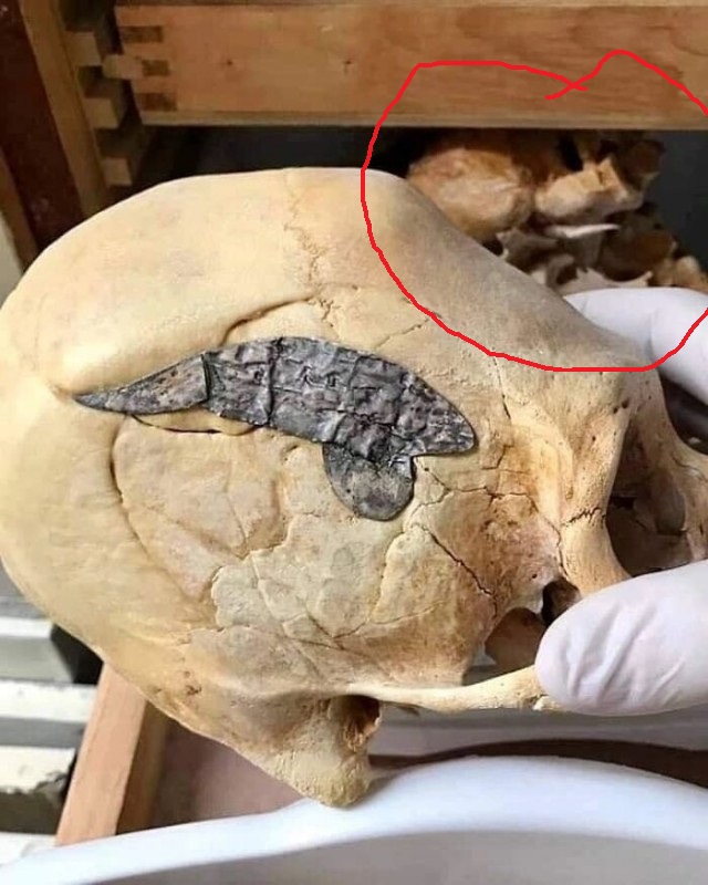 Малоизвестные исторические факты