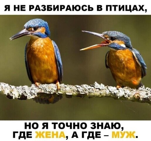 40 картинок разных 01.06.22