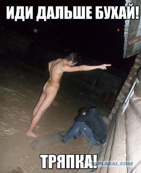 Картинки. Баян-прибоян Япа