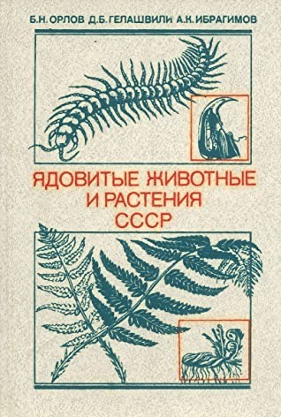 Калейдоскоп картинок