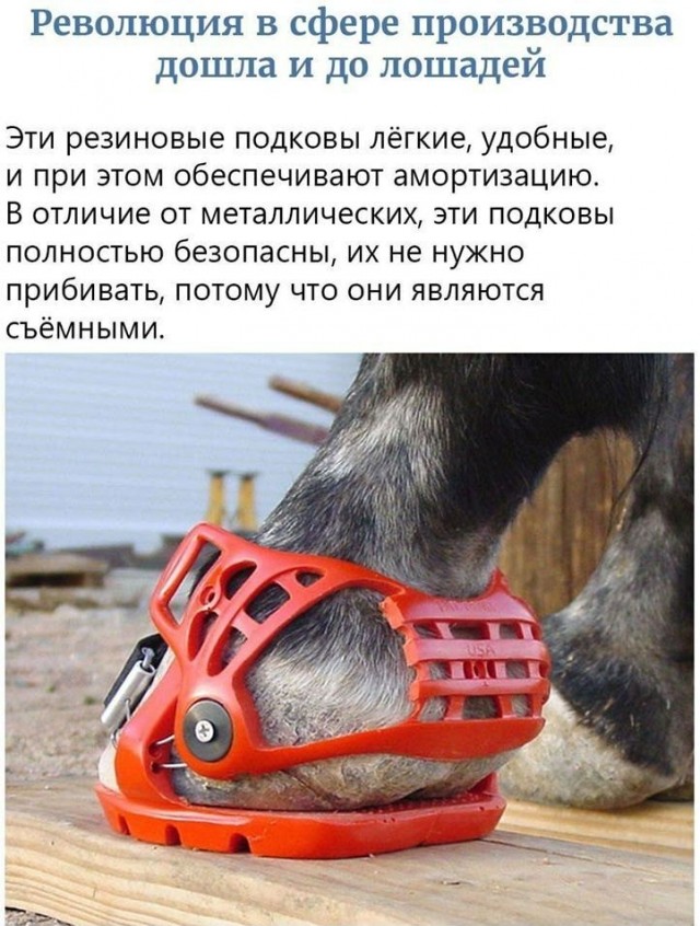 Картинки и мемы - "Жить, как говорится, хорошо..."