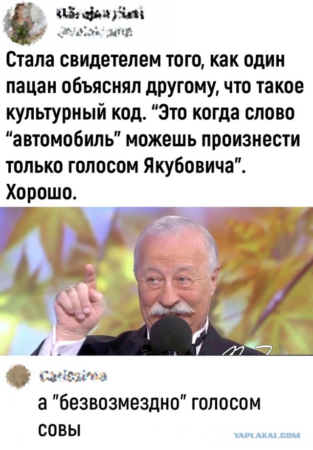 Так себе картинки 18.07.22