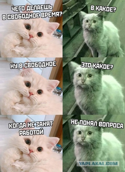 Вы тоже после курорта при выходе из самолета думаете: "Какого х*я я тут живу?"