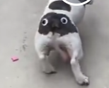Ну как же так же