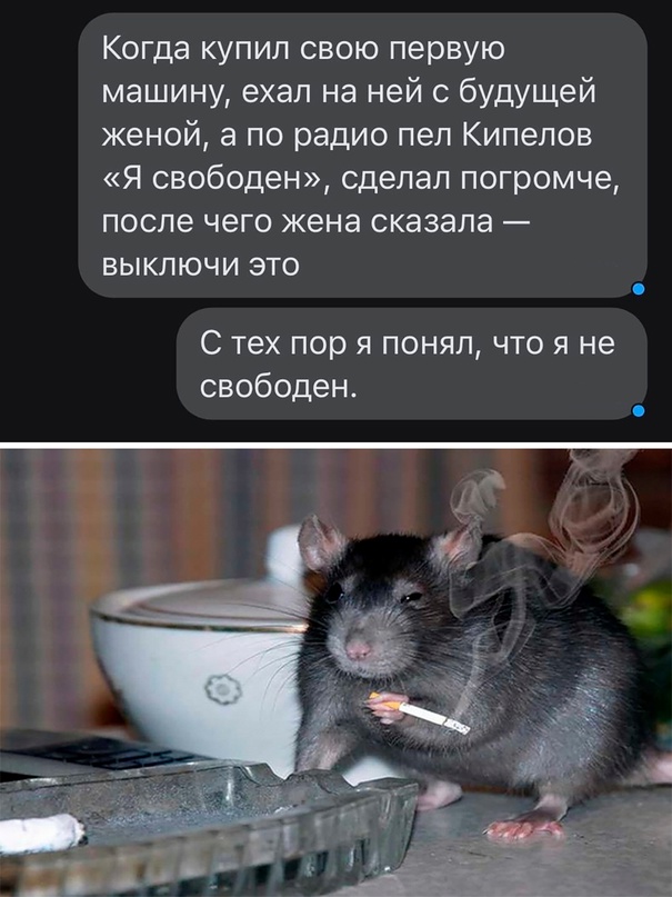 Картинки и мемы. Выходные близко...