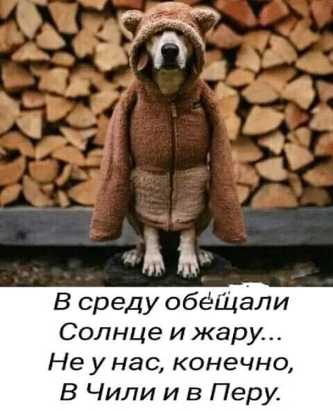 Баянисто-небаянистый юмор 24.10.22