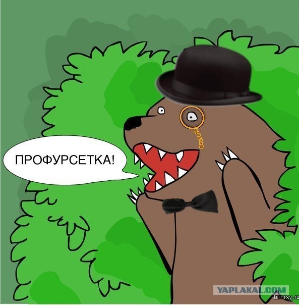 В данном случае жаль полицейских и супруга с рогами