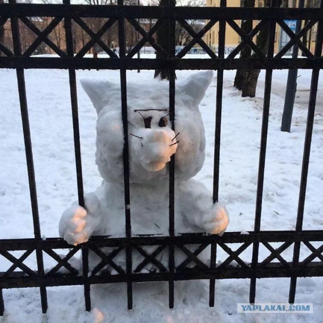 Прикольные и просто красивые картинки 30.12.2022