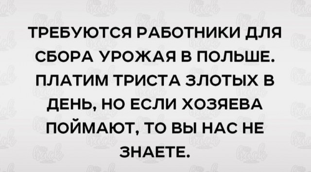 Картинки и мемы, выходные продолжаются