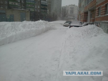 Весна пришла,весне дорогу!