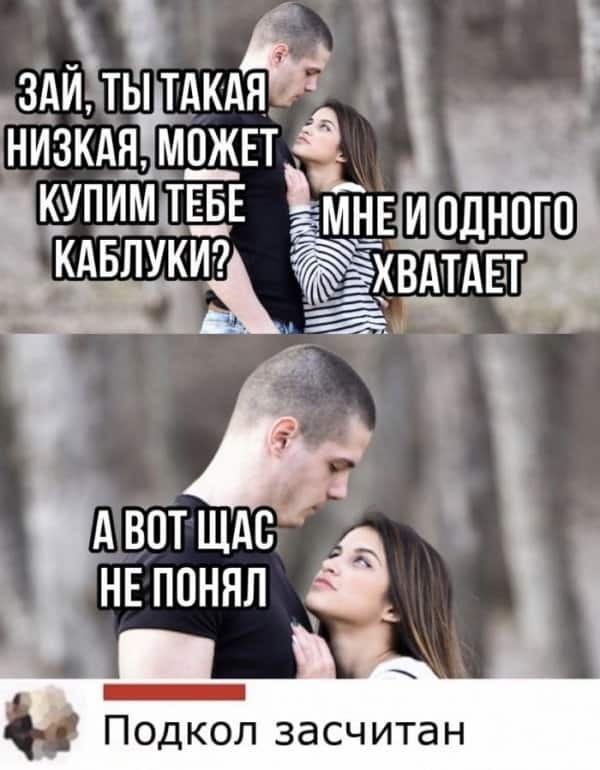 Весёлый полтишок 08.05.23