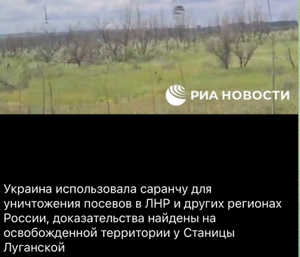 Песков заявил, что Путин готов к контактам для достижения целей СВО иными путями