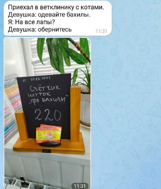 Так себе картинки 26.09.23