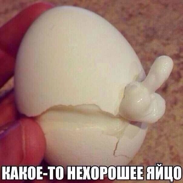 Юмор в картинках и без