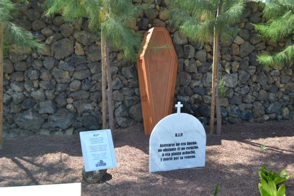 Хочу дачу на канарах!