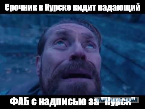 Бывший депутат Госдумы предложила решить проблему Курской области с помощью ковровых бомбардировок
