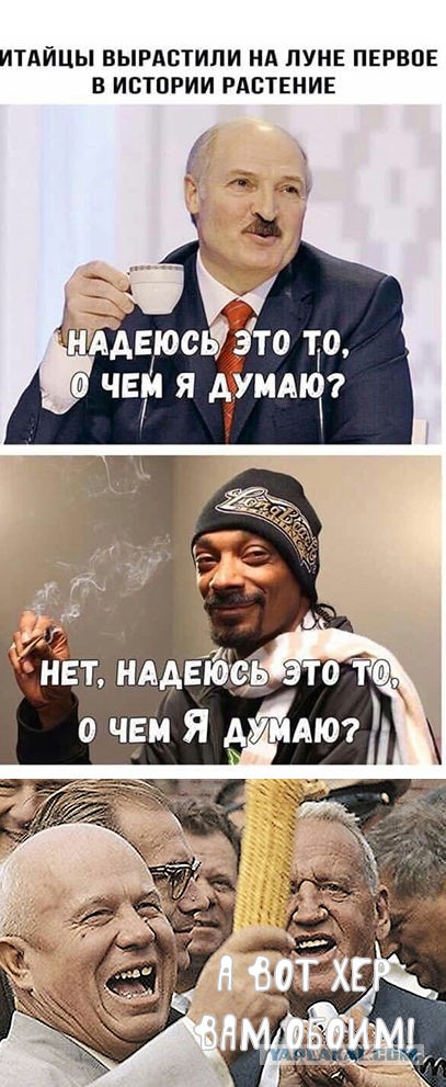 Прикольные и просто красивые картинки 10.12.2024