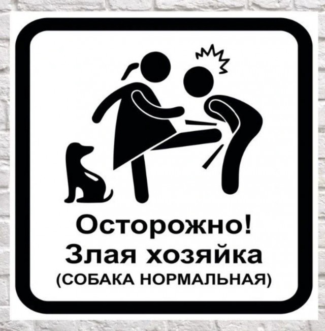 Веселое настроение в картинках (10.07.25)