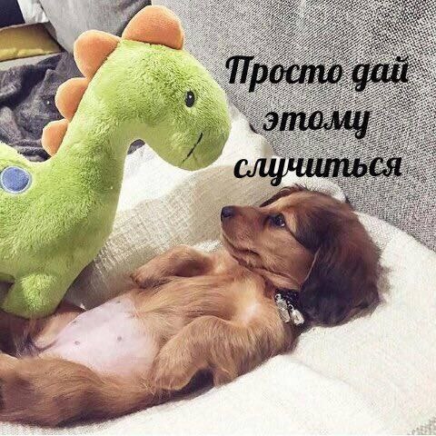 Не ленитесь!