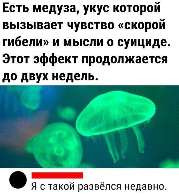 Веселые картинки в маленькую пятницу (05.11)