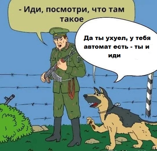 Отправлять бездомных собак на СВО «прочесывать минные поля» предложил депутат КПРФ ЗакСа Красноярского края