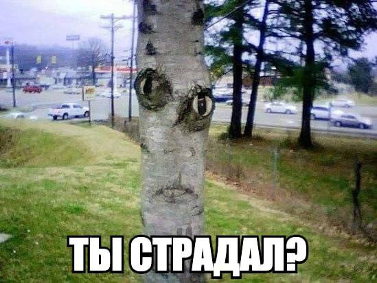 Картинки для деградации 160 (разной степени свежести)