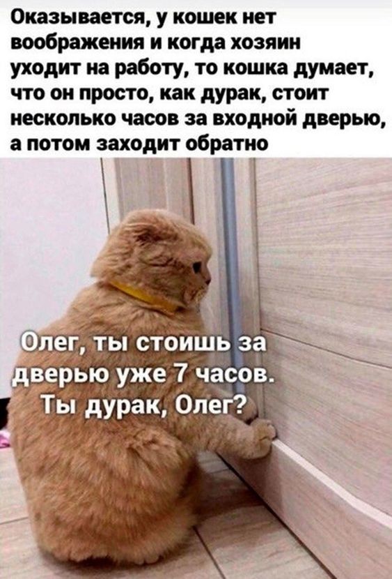 Картинки для деградации 173 (разной степени свежести)