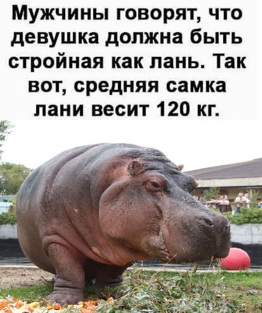 Изображения для сокращения лицевой мускулатуры
