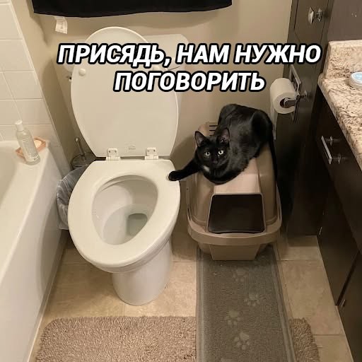 Картинки для деградации 258 ( разной степени свежести)