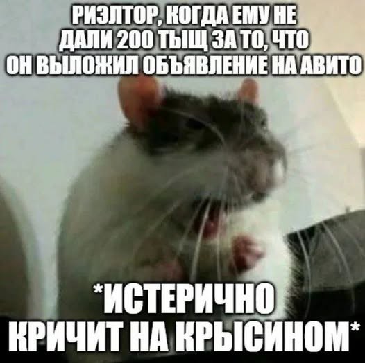 Картинки на среду