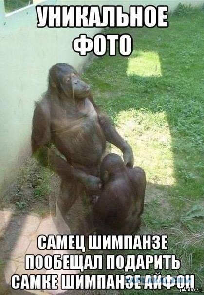Это не то, что вы подумали!