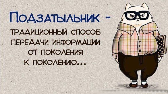 Разница между котами и собаками