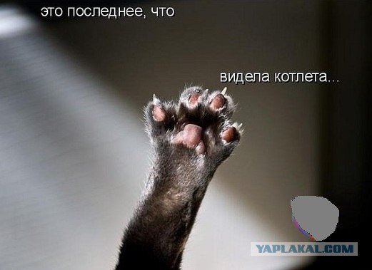 Не про олимпиаду