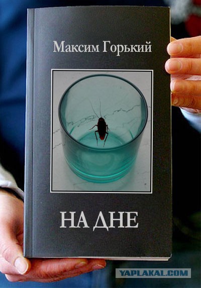 Фотожаба: Книги!