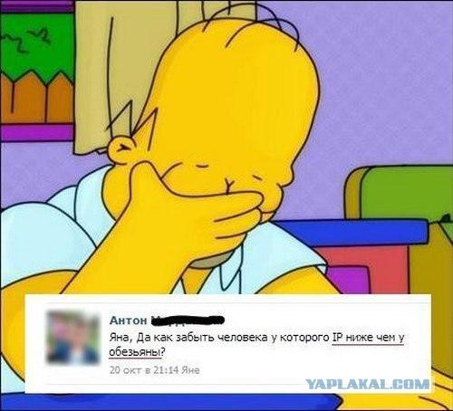 Весёлые картинки. Разбавим будни