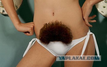 Экзотика на голове